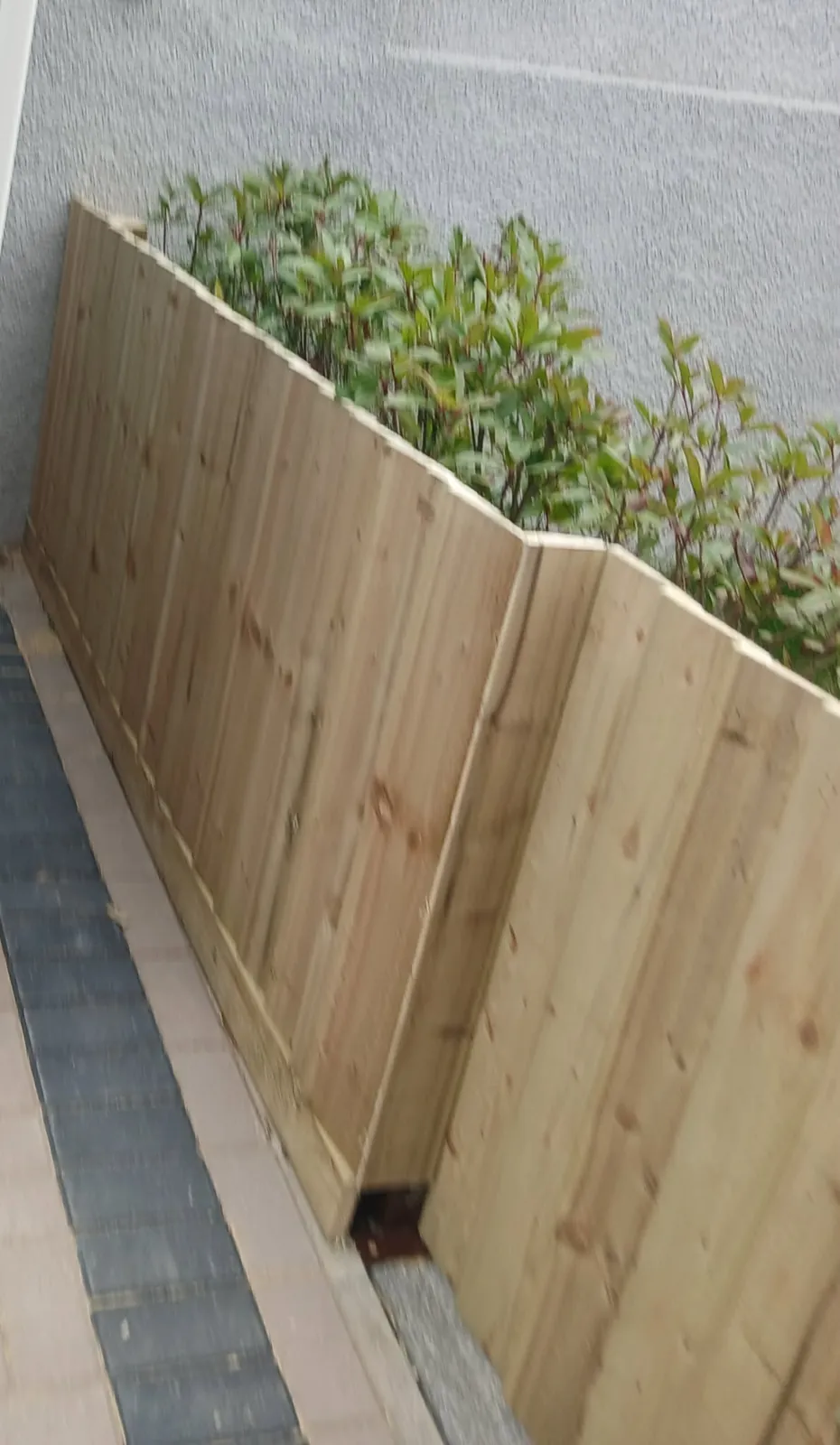 New timber fence panels installed along a garden boundary